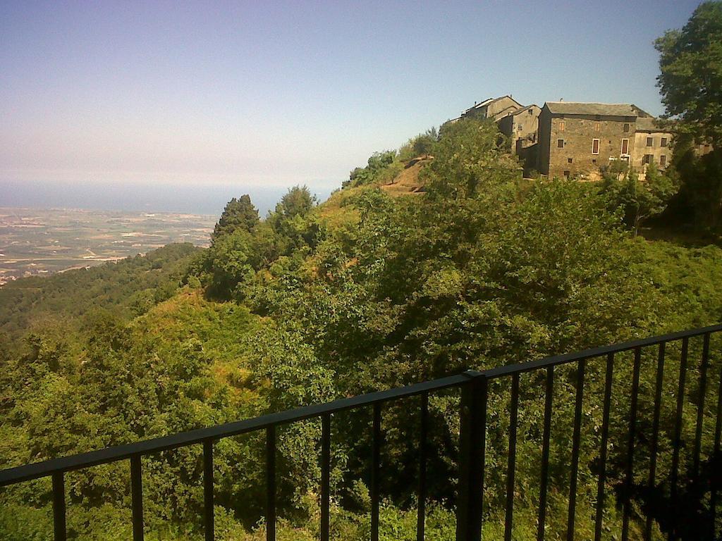 Gite La Fontaine Corse Loreto-di-Casinca 객실 사진
