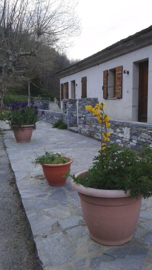 Gite La Fontaine Corse Loreto-di-Casinca 외부 사진