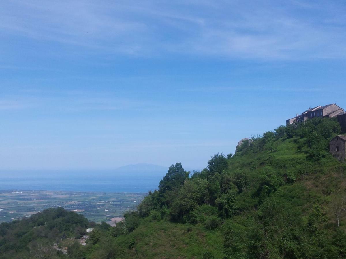 Gite La Fontaine Corse Loreto-di-Casinca 외부 사진
